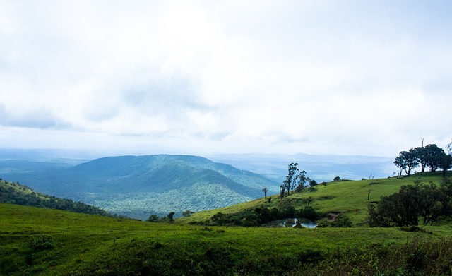 这不仅是对 这不仅是对