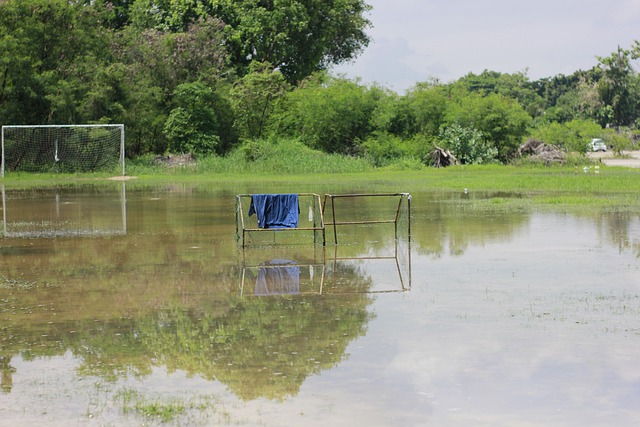 为胜利奠定 为胜利奠定