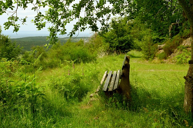 就一定能创 就一定能创