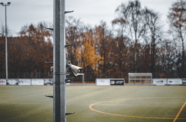 豪门觊觎南 豪门觊觎南